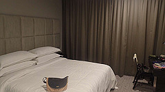 pa310921_thumb.jpg
