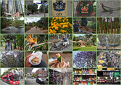 20141101_thumb.jpg