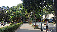 pb010941_thumb.jpg