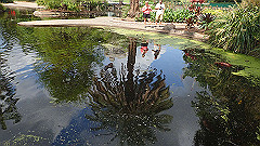 pb010947_thumb.jpg