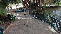 pb010949_thumb.jpg