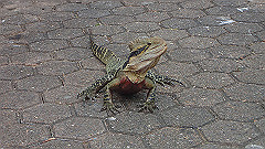 pb010950_thumb.jpg