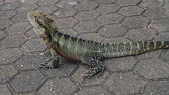 pb010951_thumb.jpg
