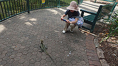 pb010953_thumb.jpg