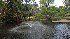 pb010955_thumb.jpg
