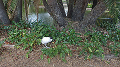 pb010956_thumb.jpg
