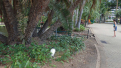 pb010958_thumb.jpg