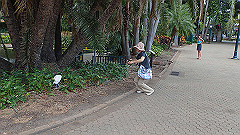 pb010959_thumb.jpg