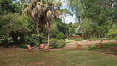 pb010961_thumb.jpg