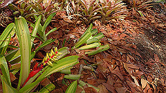 pb010962_thumb.jpg
