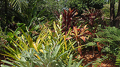 pb010963_thumb.jpg