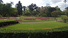 pb010966_thumb.jpg