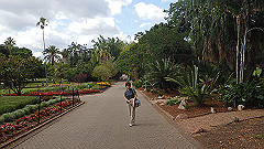 pb010967_thumb.jpg