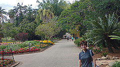 pb010968_thumb.jpg