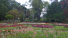 pb010971_thumb.jpg