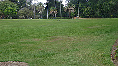 pb010974_thumb.jpg
