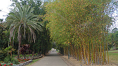 pb010975_thumb.jpg