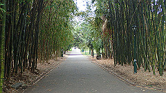 pb010978_thumb.jpg