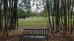 pb010979_thumb.jpg