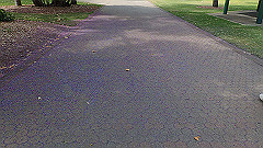 pb010983_thumb.jpg