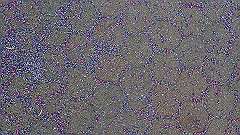 pb010984_thumb.jpg