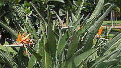 pb010987_thumb.jpg