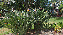 pb010988_thumb.jpg