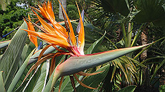 pb010989_thumb.jpg
