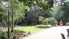 pb010995_thumb.jpg