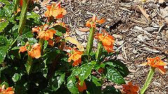 pb011001_thumb.jpg