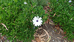 pb011003_thumb.jpg