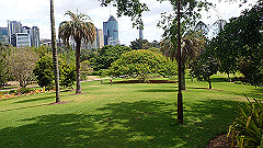 pb011004_thumb.jpg