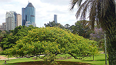 pb011005_thumb.jpg