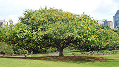 pb011007_thumb.jpg