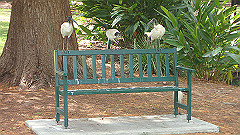 pb011008_thumb.jpg