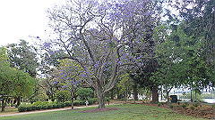 pb011017_thumb.jpg