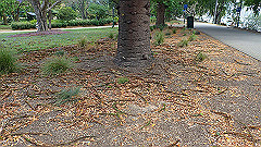 pb011020_thumb.jpg