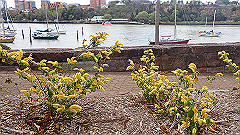 pb011022_thumb.jpg