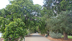 pb011023_thumb.jpg