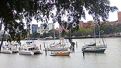 pb011024_thumb.jpg