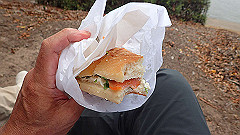 pb011027_thumb.jpg