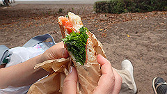 pb011028_thumb.jpg