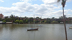 pb011029_thumb.jpg