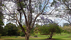 pb011031_thumb.jpg