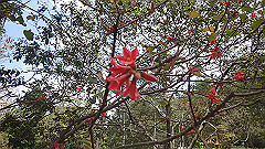 pb011039_thumb.jpg