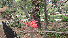 pb011040_thumb.jpg