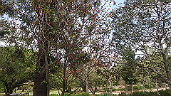 pb011041_thumb.jpg