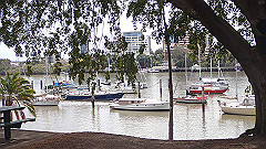 pb011043_thumb.jpg