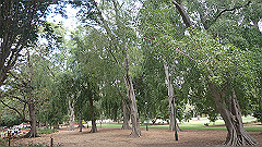 pb011046_thumb.jpg