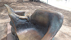 pb011048_thumb.jpg